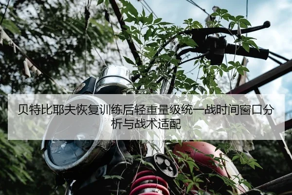 贝特比耶夫恢复训练后轻重量级统一战时间窗口分析与战术适配
