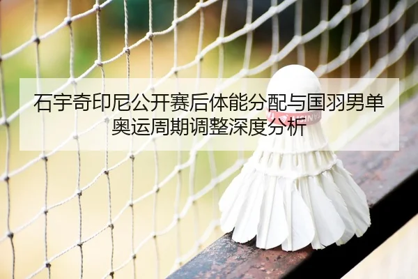 shi-yu-qi-yin-ni-gong-kai-sai-hou-ti-neng-fen-pei-yu-guo-yu-nan-dan-ao-yun-zhou-qi-tiao-zheng-shen-du-fen-xi-2-249.jpg