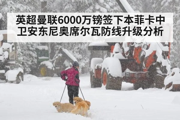 英超曼联6000万镑签下本菲卡中卫安东尼奥席尔瓦防线升级分析